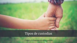 Tipos de custodias